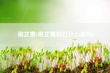 谢芷蕙，谢芷蕙拍过甚么剧吗？