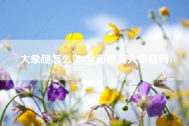 大象腿怎么办，北面都有大象腿吗？