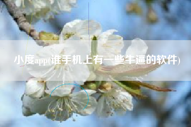 小度app，谁手机上有少少牛逼的软件？