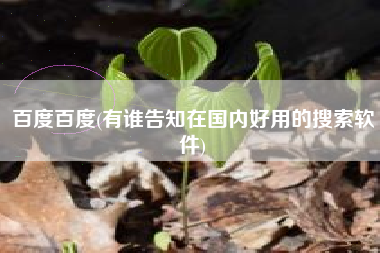 百度百度，有谁告诉在国内好用的搜寻软件？
