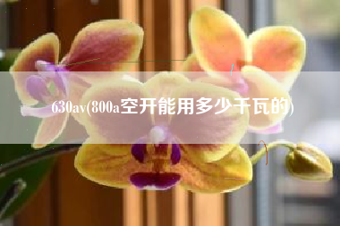 630av，800a空开能用几千瓦的？