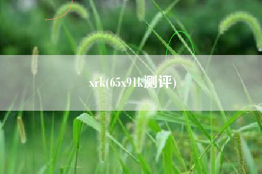 xrk，65x91k测评？