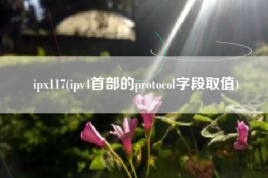 ipx117，ipv4首部的protocol字段取值？