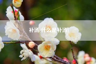 补汤，什么是补汤？