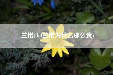 兰诺，dnf兰诺为什么那么贵？
