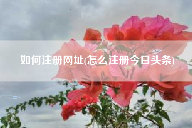 怎样注册网址，怎样注册本日头条？
