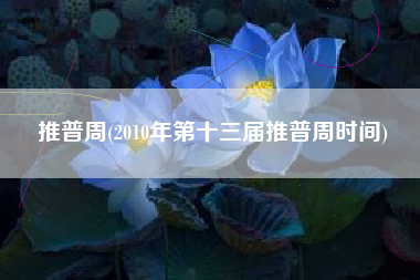 推普周，2010年第十三届推普周时光？