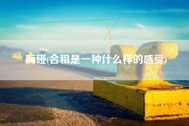 嗨碰，合租是一种什么样的感触？