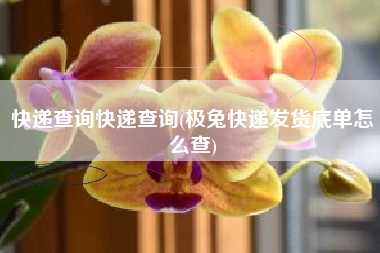 快递查问快递查问，极兔快递发货底单怎么查？