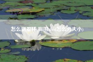 怎样测罩杯，胸围abcd怎样分巨细？