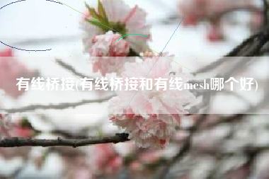 有线桥接，有线桥接和有线mesh哪一个好？