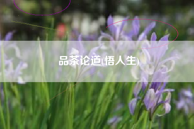 品茶论道，悟人生？