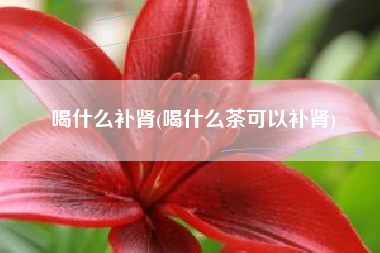 喝甚么补肾，喝甚么茶能够补肾？