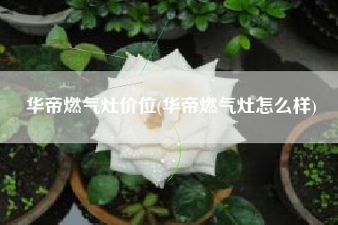 华帝燃气灶价位，华帝燃气灶怎样？