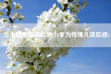 二十四孝图读后感，24孝为母埋儿读后感？