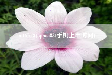mt6763t，oppoa83t手机入市时光？