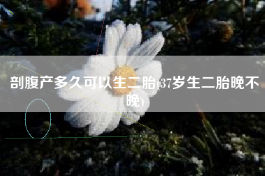 剖腹产多久能够生二胎，37岁生二胎晚不晚？