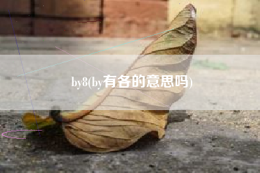 by8，by有各的意思吗？