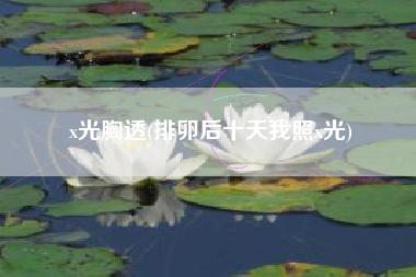 x光胸透，排卵后十天我照x光？