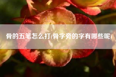 骨的五笔怎样打，骨字旁的字有哪些呢？