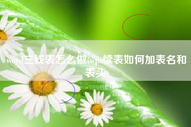 word三线表怎么做，wps续表怎样加表名和表头？