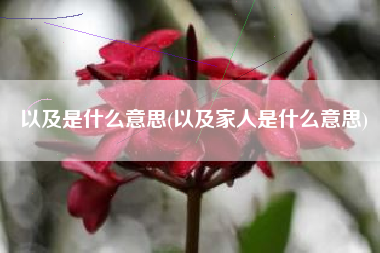 和是什么意义，和家人是什么意义？