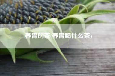 养胃的茶，养胃喝甚么茶？