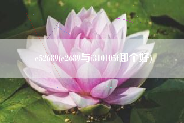 e52689，e2689与i310105f哪一个好？