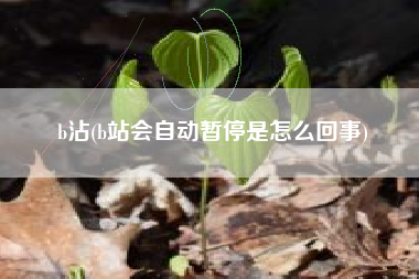 b沾，b站会主动停息是怎么回事？