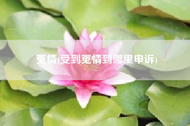 冤情，遭到冤情到哪里申述？