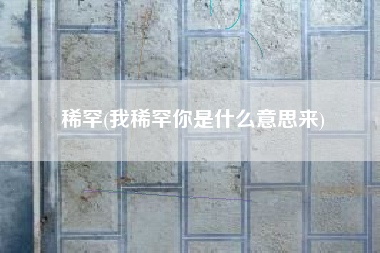 稀奇，我稀奇你是什么意义来？