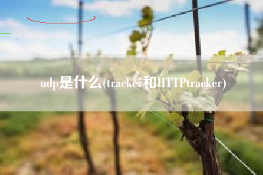 udp是什么，tracker和HTTPtracker？