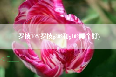 罗技102，罗技g302和g102哪一个好？