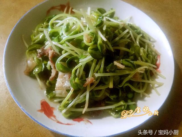 芽菜是什么菜（第一次吃此菜谁知道它叫啥）