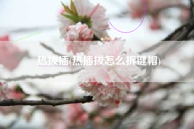 热拔插，热插拔怎样拆键帽？