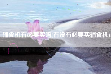 辅食机有须要买吗，有无须要买辅食机？